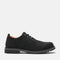 Timberland Mens Lace Up Waterproof Shoe in Black