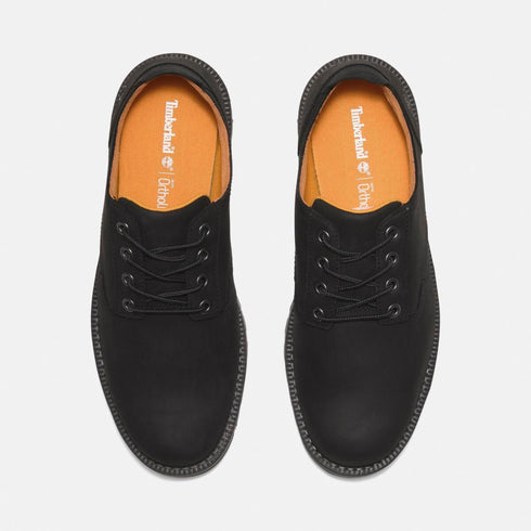 Timberland Mens Lace Up Waterproof Shoe in Black