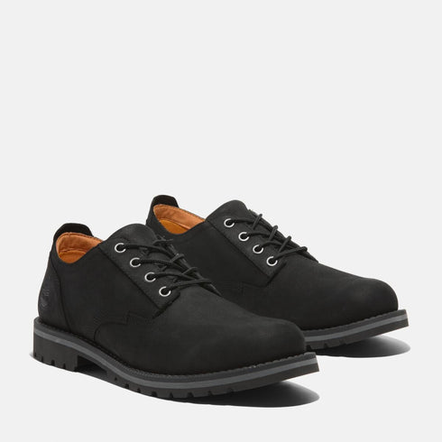Timberland Mens Lace Up Waterproof Shoe in Black
