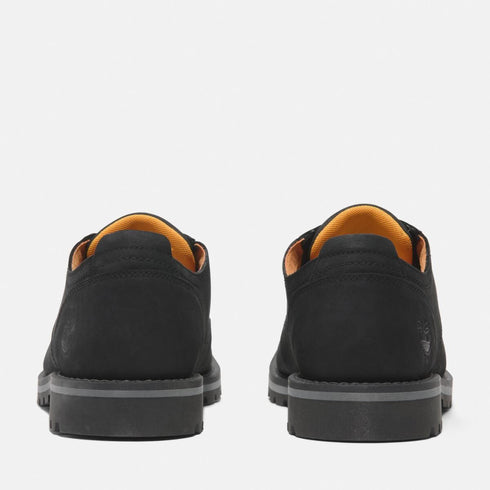 Timberland Mens Lace Up Waterproof Shoe in Black