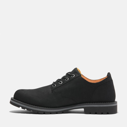 Timberland Mens Lace Up Waterproof Shoe in Black