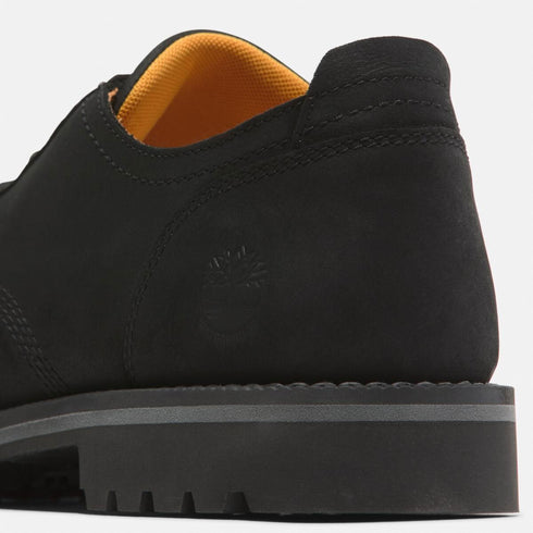 Timberland Mens Lace Up Waterproof Shoe in Black