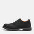 Timberland Mens Lace Up Waterproof Shoe in Black