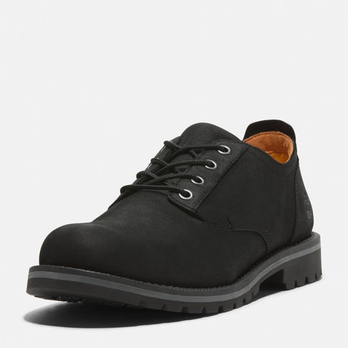 Timberland Mens Lace Up Waterproof Shoe in Black