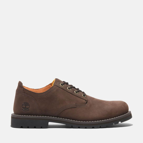 Timberland Mens Lace Up Waterproof Shoe in Dark Brown