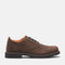 Timberland Mens Lace Up Waterproof Shoe in Dark Brown