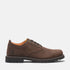 Timberland Mens Lace Up Waterproof Shoe in Dark Brown