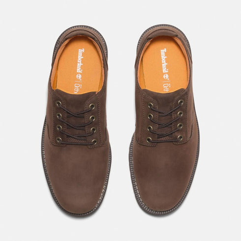 Timberland Mens Lace Up Waterproof Shoe in Dark Brown