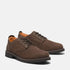 Timberland Mens Lace Up Waterproof Shoe in Dark Brown