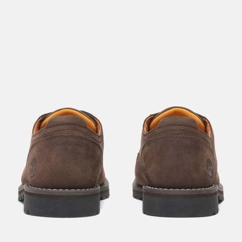 Timberland Mens Lace Up Waterproof Shoe in Dark Brown