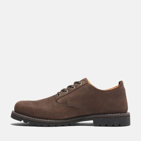 Timberland Mens Lace Up Waterproof Shoe in Dark Brown