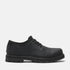 Timberland Mens Lace Up Waterproof Shoe in Black