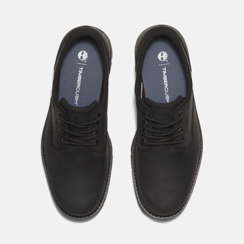 Timberland Mens Lace Up Waterproof Shoe in Black