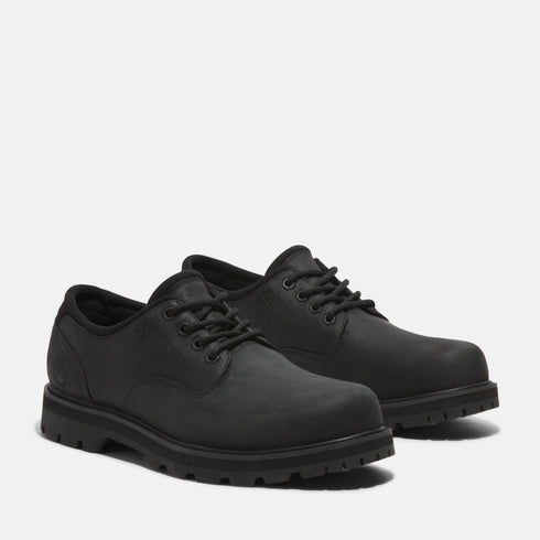 Timberland Mens Lace Up Waterproof Shoe in Black