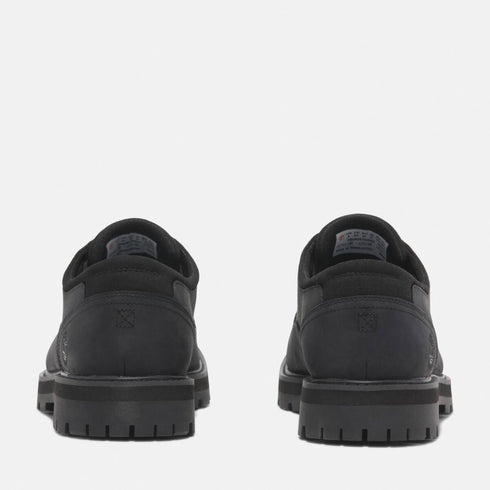 Timberland Mens Lace Up Waterproof Shoe in Black