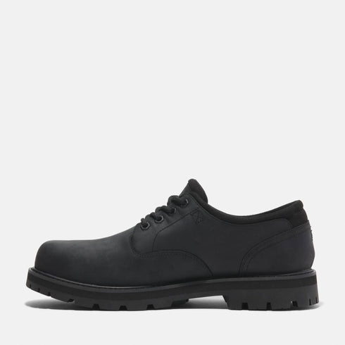 Timberland Mens Lace Up Waterproof Shoe in Black