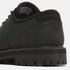Timberland Mens Lace Up Waterproof Shoe in Black