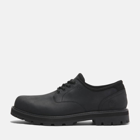 Timberland Mens Lace Up Waterproof Shoe in Black