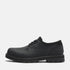 Timberland Mens Lace Up Waterproof Shoe in Black