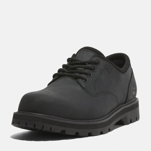 Timberland Mens Lace Up Waterproof Shoe in Black