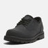 Timberland Mens Lace Up Waterproof Shoe in Black