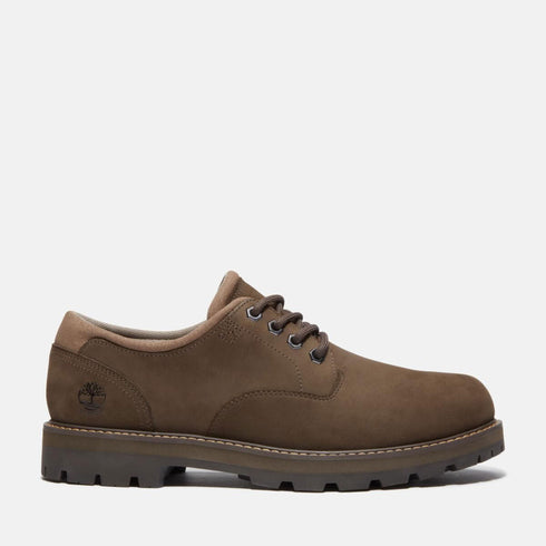Timberland Mens Lace Up Waterproof Shoe in Dark Brown