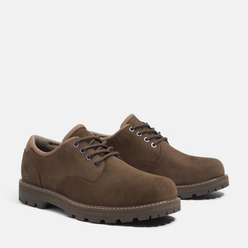 Timberland Mens Lace Up Waterproof Shoe in Dark Brown