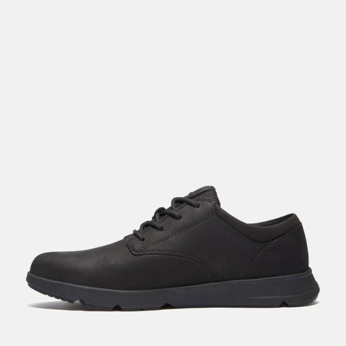 Timberland Mens Low Lace Up Sneaker in Black
