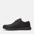 Timberland Mens Low Lace Up Sneaker in Black