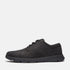 Timberland Mens Low Lace Up Sneaker in Black