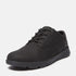 Timberland Mens Low Lace Up Sneaker in Black