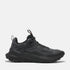Timberland Mens Low Lace Up Sneaker in Black