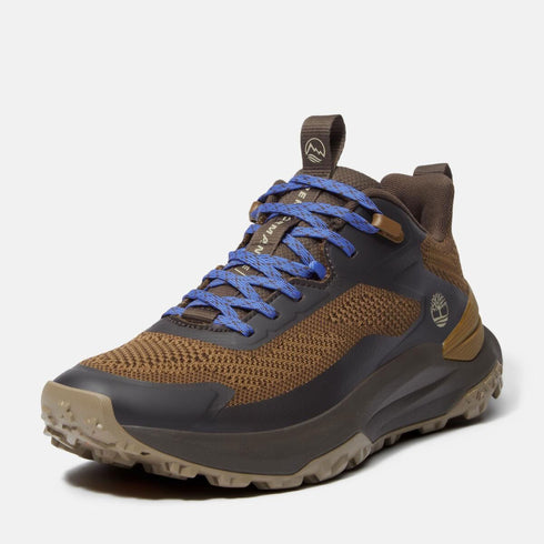Timberland Mens Low Lace Up Sneaker in Olive