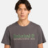 Timberland Mens Established 1973 Embroidery Logo Tee in Grey