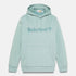 Men's Hoodie